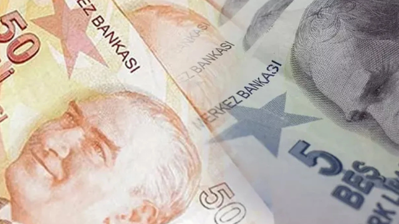 E9 Emisyon Grubu VIII. Tertip 50 Türk Lirası ve VII.
