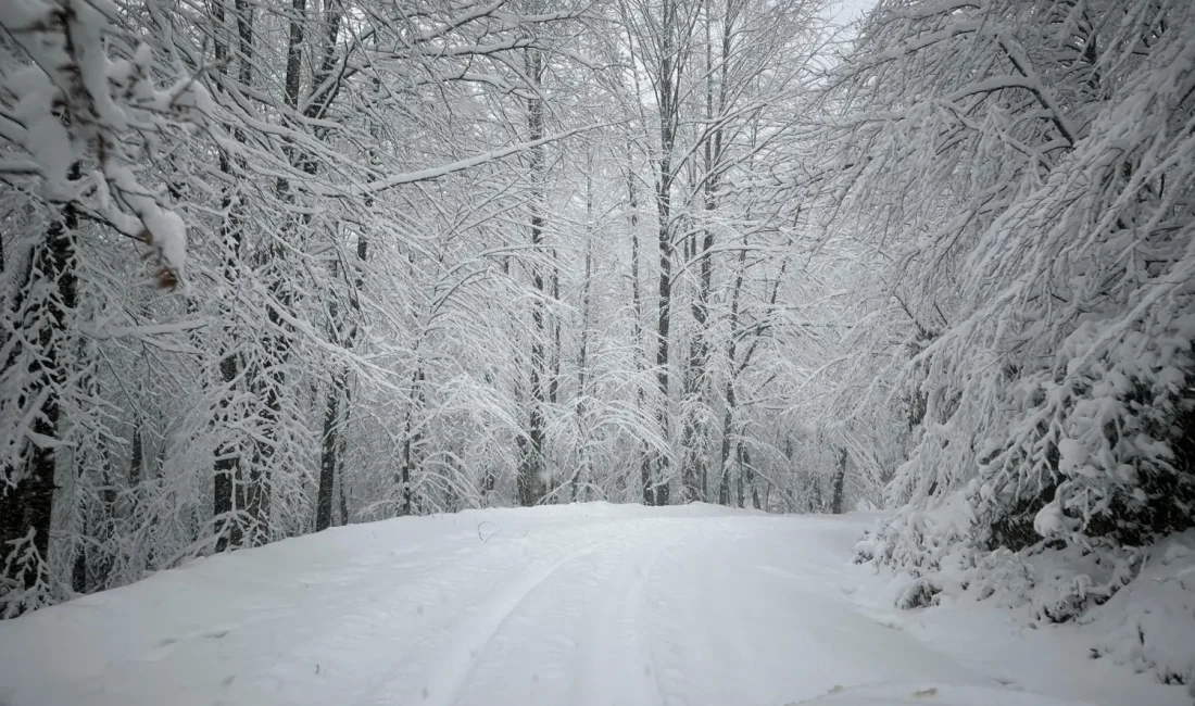 Kocaeli'de lapa lapa yağan karın tadını UTV ile çıkartan vatandaşlar