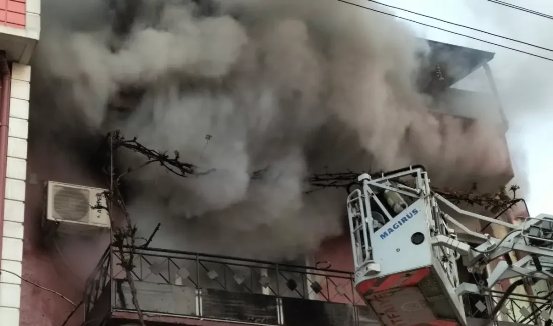 Kocaeli'nin İzmit ilçesinde içerisinde kedi, köpek gibi hayvanların bulunduğu ev
