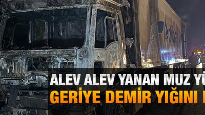 Anadolu Otoyolu Kocaeli geçişinde alev alev yanan muz yüklü tırın