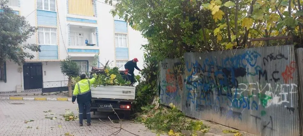 Dilovası Belediyesi Park ve Bahçeler Müdürlüğü, ilçedeki tüm park ve