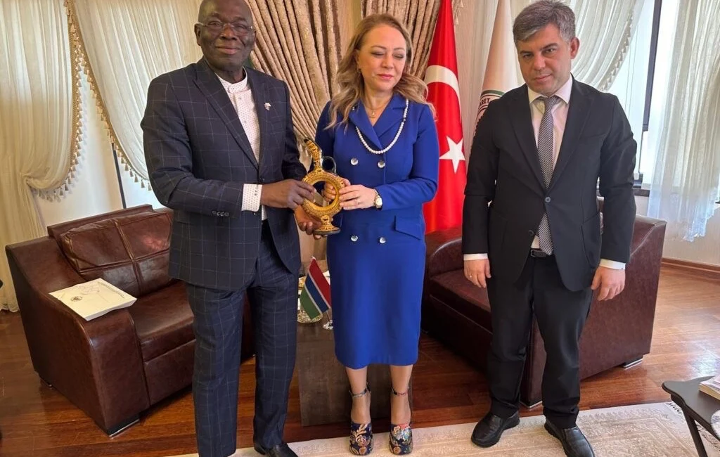 Türk şirketleri, Türkiye ile Gambiya arasında ekonomik ve ticari ilişkileri