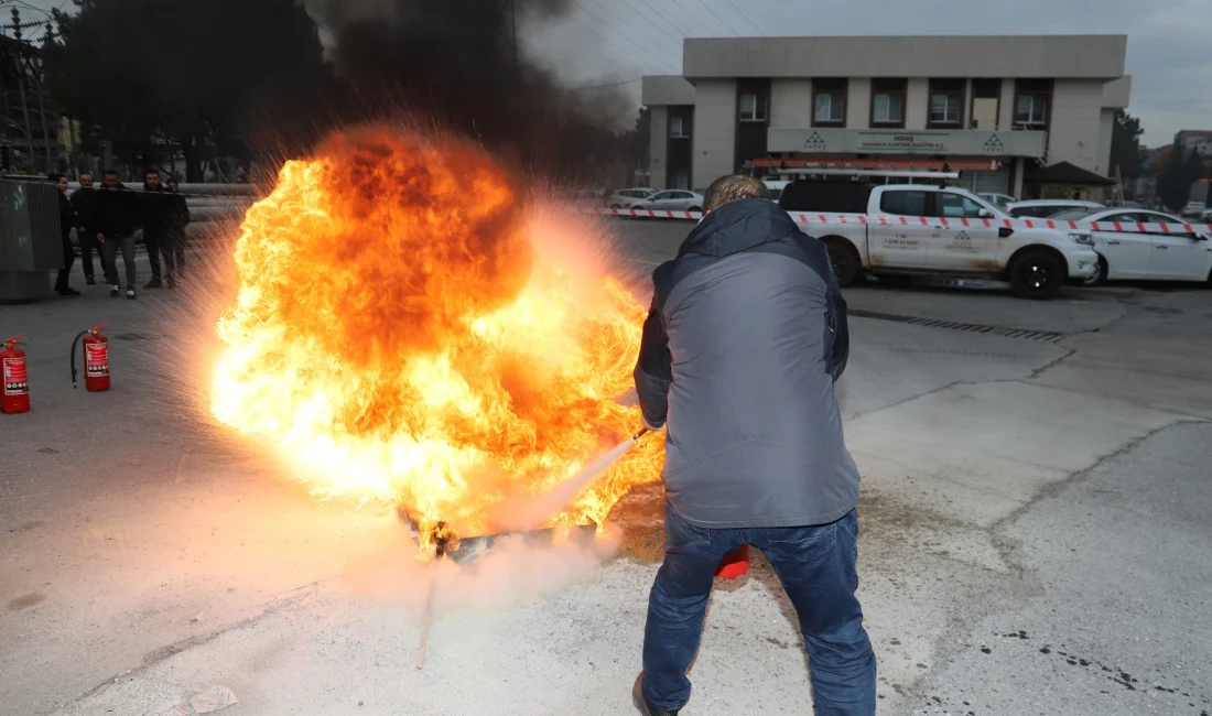 Sakarya Elektrik Dağıtım A.Ş. (SEDAŞ), elektrik dağıtım faaliyetlerini yürüttüğü bölgelerde