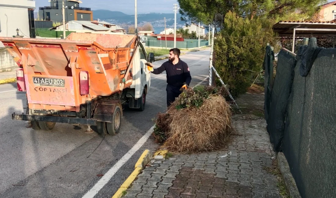 Başiskele Belediyesi, çevre ve görüntü kirliliğine sebep olan moloz, bağ