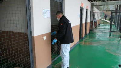 Derince Belediyesi Sokak Hayvanları Rehabilitasyon Merkezi, sokak hayvanlarına yönelik duyarlı