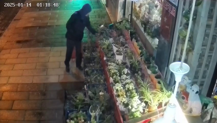 Sakarya'nın Adapazarı ilçesinde her gün çiçeklerin azaldığını fark eden 28