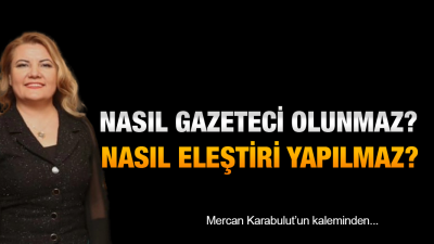 Eleştiri, siyasetin vazgeçilmez unsurlarından biridir. Ancak, eleştirinin bir sınırı, bir