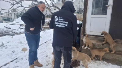 İzmit Belediyesi, kar yağışının etkisini gösterdiği kent genelinde patili dostlarımızı