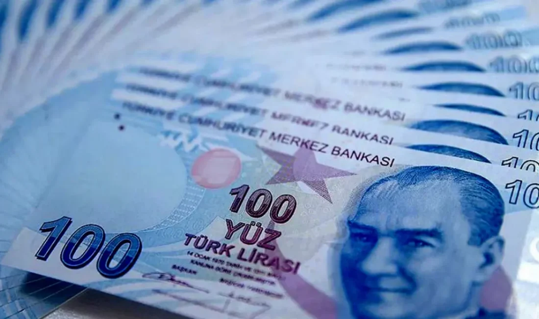 E9 Emisyon Grubu VI. Tertip 100 Türk Lirası ve VII.