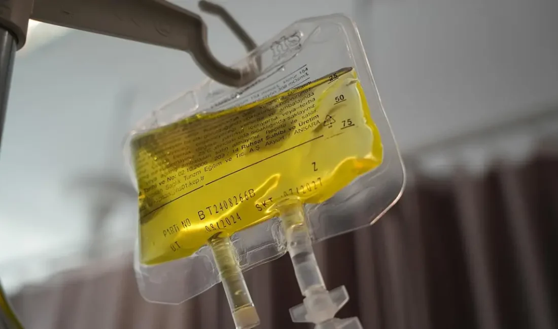Van’da uzmanlar, halk arasında ’sarı serum’ ve ’atom’ diye bilinen