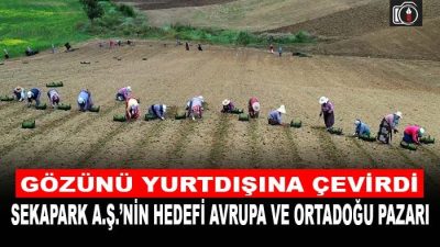 Sekapark A.Ş. 2022 yılında gerçekleştirdiği önemli projelerinin ardından gözünü yurtdışına