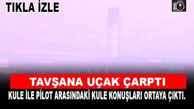 Tavşana uçak çarptı Sabiha Gökçen Havalimanı’na iniş gerçekleştiren yolcu uçağının,
