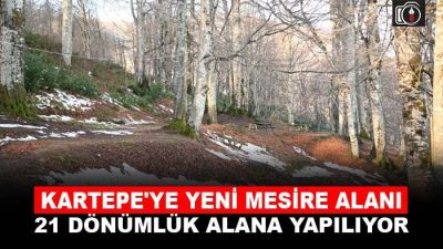 Kartepe Belediyesi, Kartepe zirve yoluna 21 dönümlük alana yeni mesire