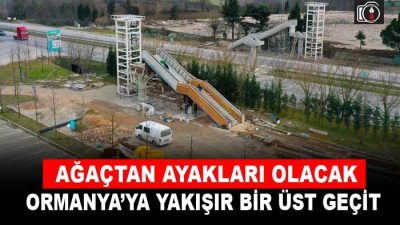 Ormanya’ya doğa temalı üst geçit | Kocaeli Büyükşehir Belediyesi’nin doğal