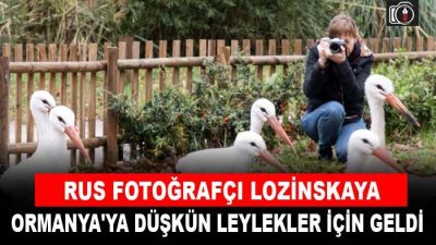 Ormanya’ya düşkün leylekler için Rusya’dan geldi | Rus fotoğrafçı Lozinskaya,