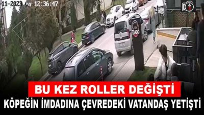 Saldırıya uğrayan köpeği vatandaş kurtardı | İzmit’te yaşlı bir kadın
