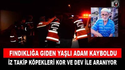Kandıra’da fındığa giden yaşlı adam kayboldu. Fındığa giden 77 yaşındaki