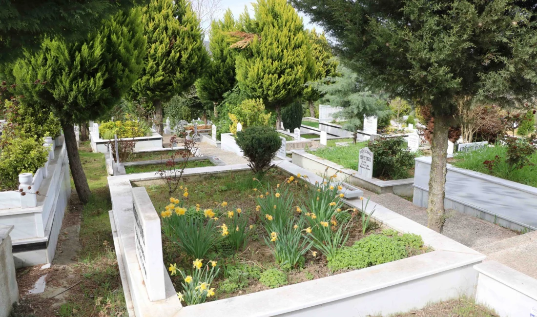 Büyükşehir, Ramazan Bayramı öncesi il genelindeki mezarlıklarda bakım, onarım ve
