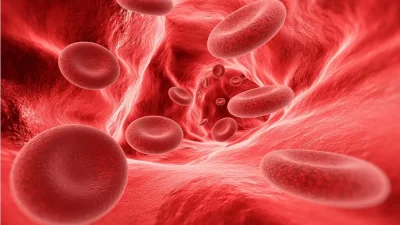 Sivas Numune Hastanesi Hematoloji Uzmanı Dr. Yüksel Aslı Öztürkmen, hemofili
