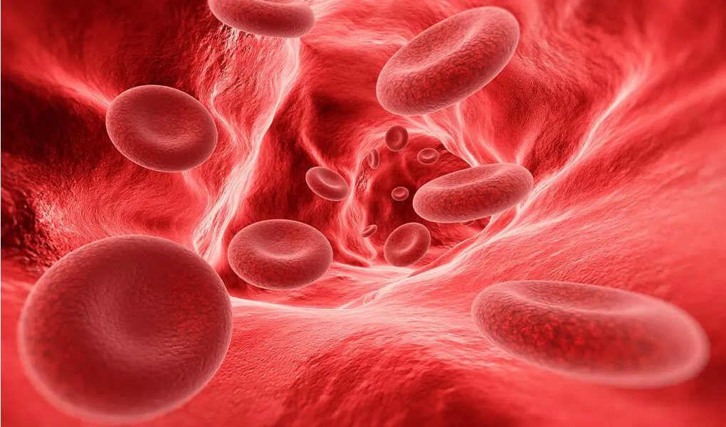 Hematoloji Bilim Dalı Dr. Öğretim Üyesi Hasan Göze, "Hemofili A