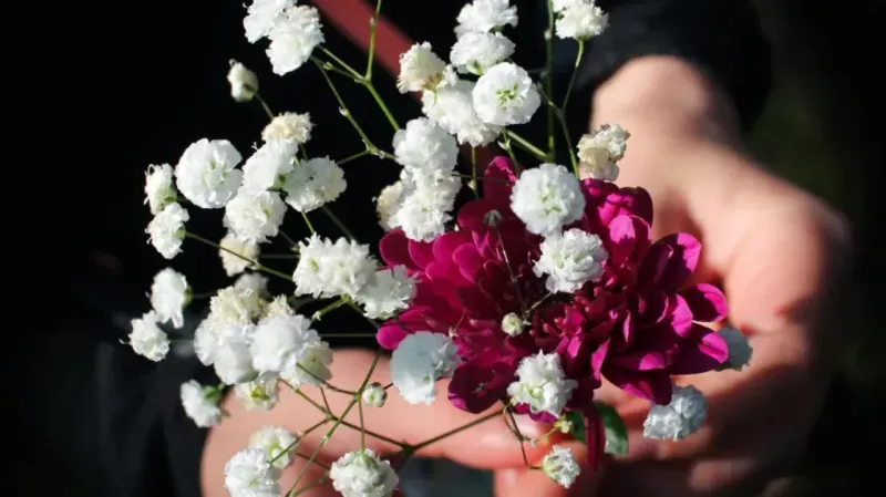 Rüyada çiçek ekmek ne anlama gelir? Rüyada çiçek ektiğini görmek