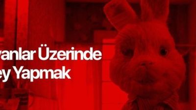 Hayvanlar üzerinde kozmetik ürünleri için deney yapılıyor. Bu olay pandemide