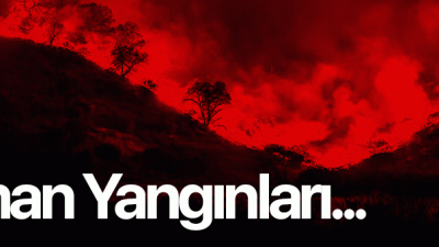 Bugün Anadolu Ajansı’nın yayınladığına göre Çanakkale’de orman yangını gerçekleşmiş ve