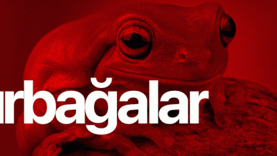 Merhaba bugün sizlere profesyonel alanımdan olan kurbağaları anlatacağım. (Cümlelerim, kurbağalar