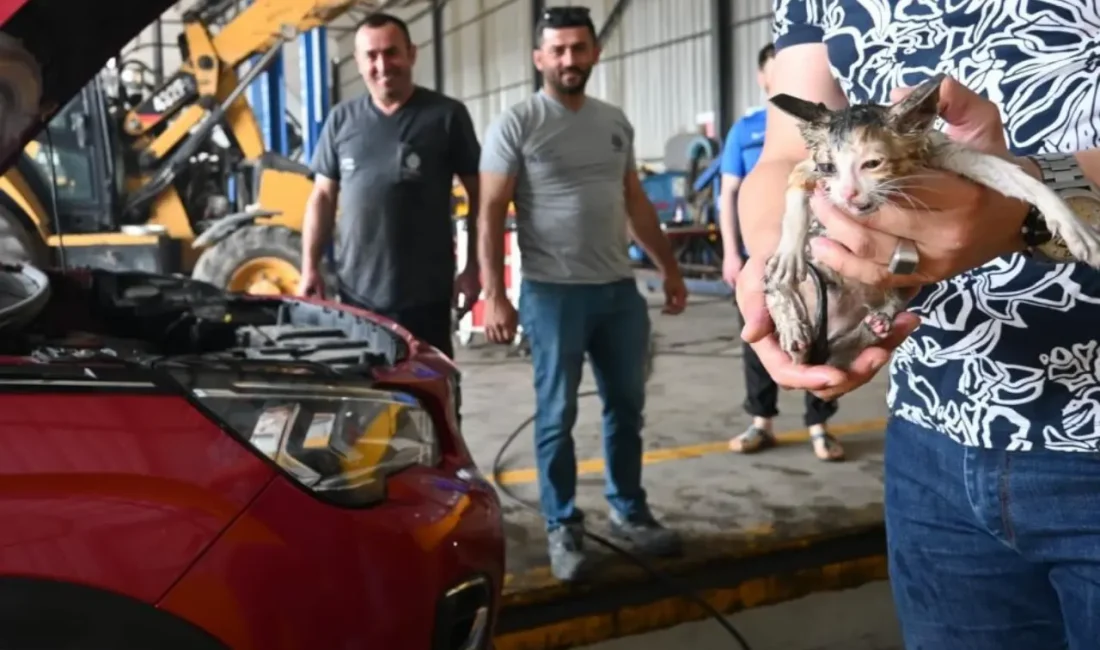 Başiskele'de bir otomobilin motor kısmına giren yavru kedi, uzun uğraşlar