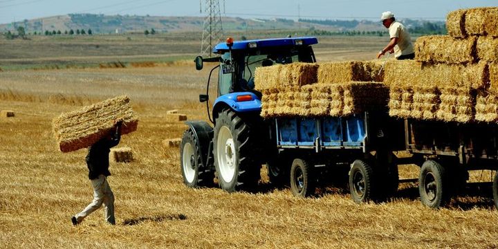 Tarımsal girdi fiyat endeksi (Tarım-GFE) yıllık yüzde 34,22 arttı, aylık