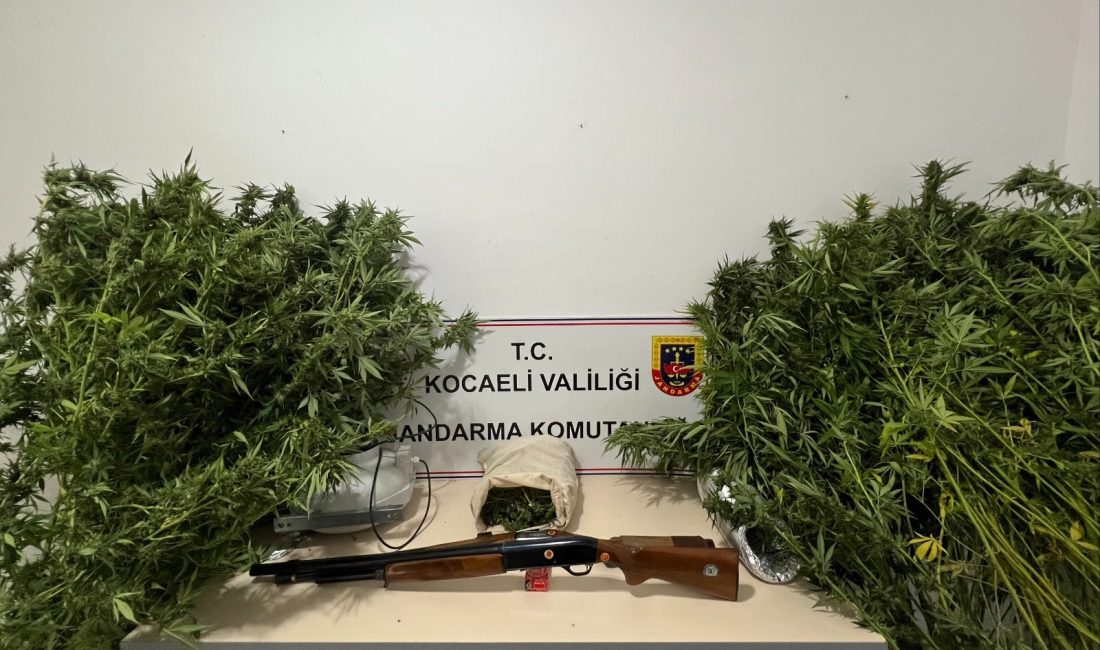 Kocaeli’nin Karamürsel ilçesinde düzenlenen operasyonda skunk, silah ve mühimmat ele