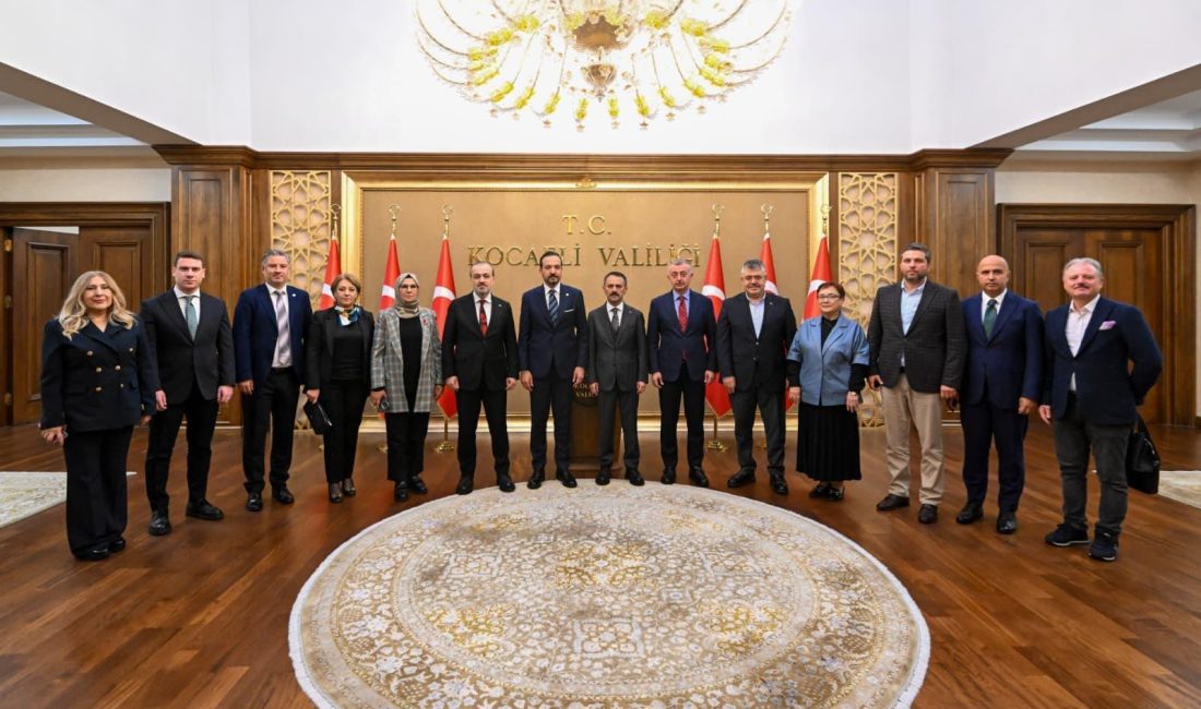 AK Parti Genel Başkan Yardımcısı, Türk Devletleri ile İlişkiler Başkanı,