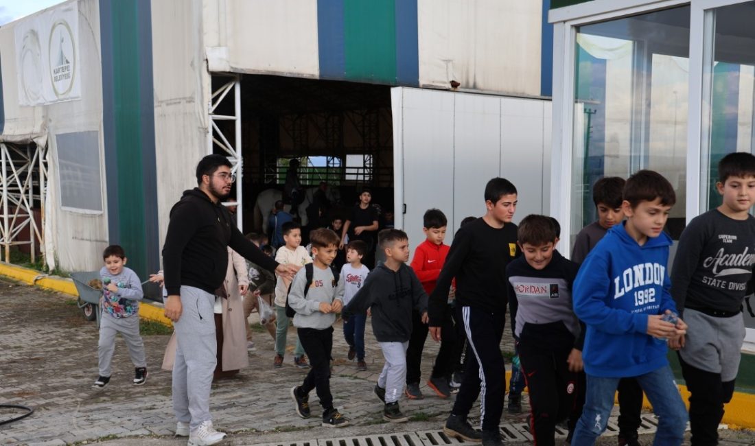 Kartepe Belediyesi Atlı Binicilik Kulübü, ara tatil boyunca yoğun ilgi