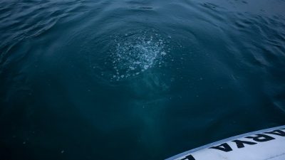 Sakarya ile Kocaeli'nin içme suyu kaynağı olan Sapanca Gölü'nde oluşan