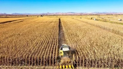 Tarımsal girdi fiyat endeksi (Tarım-GFE) yıllık yüzde 34,60 arttı, aylık