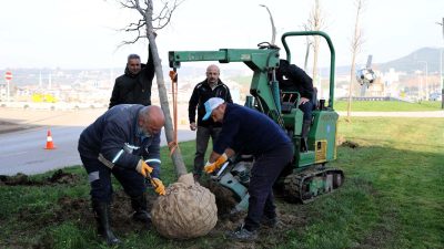 Kocaeli Büyükşehir Belediyesi’nin raylı sistem ağına eklediği Kartepe Tramvay Hattı’nda