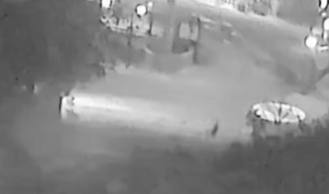 Kocaeli'nin Gebze ilçesinde 74 yaşındaki Zeki Aydın, evinin önünde iki