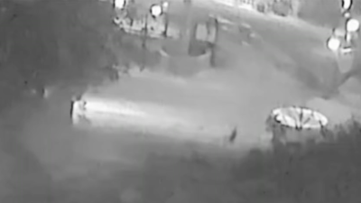 Kocaeli'nin Gebze ilçesinde 74 yaşındaki Zeki Aydın, evinin önünde iki