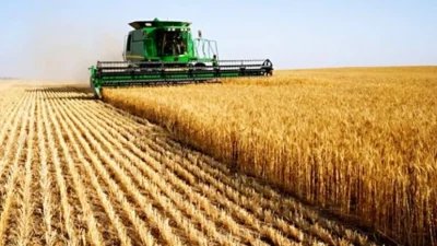 Gebze Ademyavuz Mahallesi’nde bulunan 346 metrekarelik arsa, mahkeme kararıyla 8