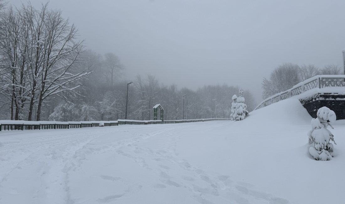 Meteorolojinin uyarılarının ardından Kocaeli'nin yüksek kesimlerinde kar yağışı etkili oluyor.