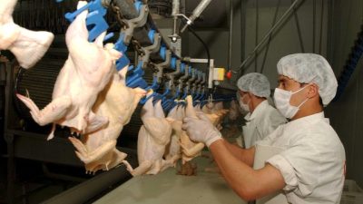 Bir önceki ay 253 bin 993 ton olan tavuk eti
