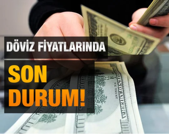 Küresel piyasalarda yaşanan gelişmeler, jeopolitik riskler ve ekonomik dalgalanmalar, döviz