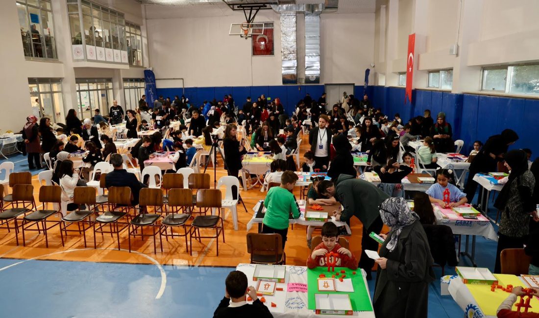 Milli Eğitim Bakanlığı, Gebze Kaymakamlığı, Akıl ve Zeka Oyunları Federasyonu