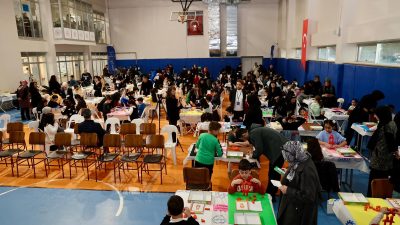 Milli Eğitim Bakanlığı, Gebze Kaymakamlığı, Akıl ve Zeka Oyunları Federasyonu