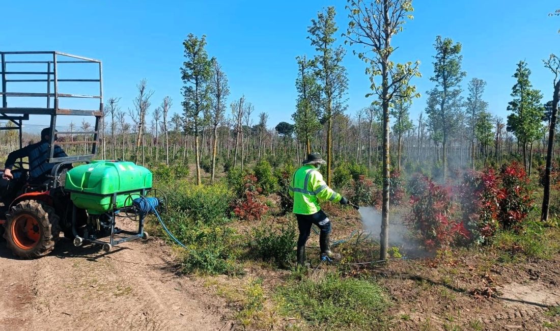 Kocaeli Büyükşehir Belediyesi, üretim fidanlığındaki fidanların sağlıklı gelişimini desteklemek amacıyla