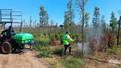 Kocaeli Büyükşehir Belediyesi, üretim fidanlığındaki fidanların sağlıklı gelişimini desteklemek amacıyla