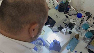 Tokat Gaziosmanpaşa Üniversitesi (TOGÜ) Fen-Edebiyat Fakültesi Biyoloji Bölüm Başkanı Prof.