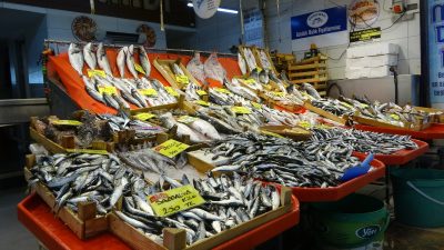 Denizlerde büyük tekneler için başlayan av yasağına rağmen, Kocaeli'deki balıkçı