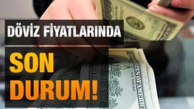 Küresel piyasalarda yaşanan gelişmeler, jeopolitik riskler ve ekonomik dalgalanmalar, döviz