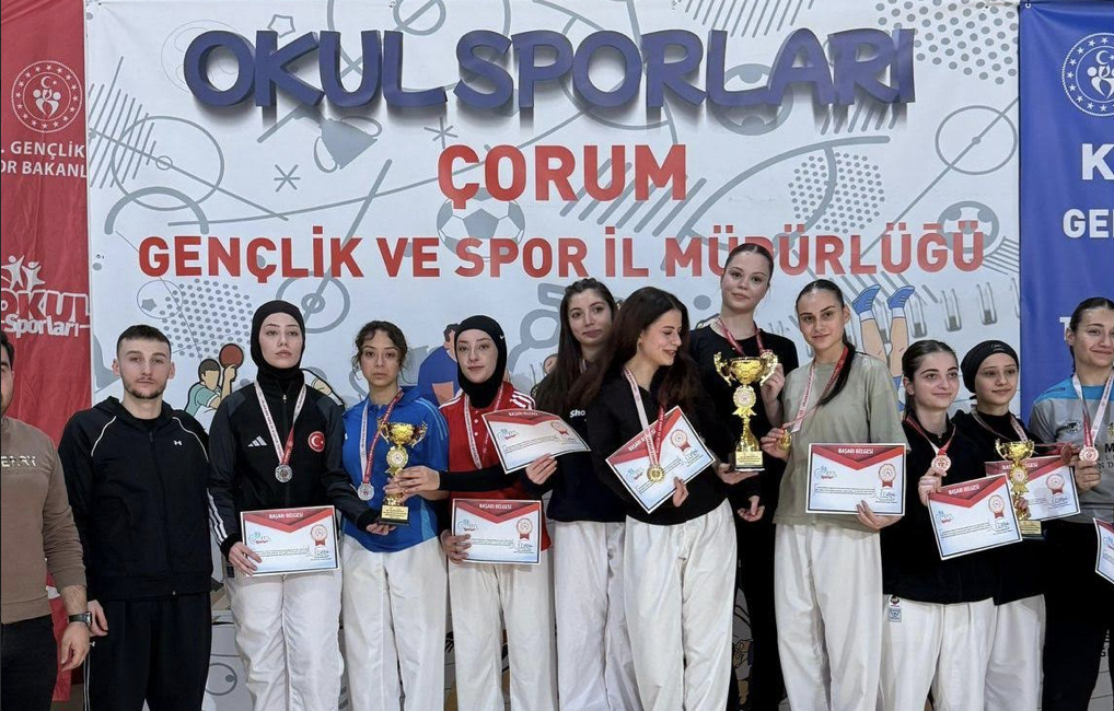 Türkiye Karate Federasyonu Okul Sporları, Okullar Arası A-B Gençler (K-E)